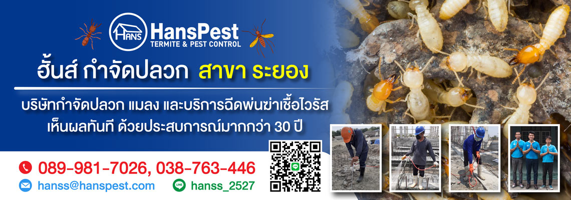 ฮั้นส์ กำจัดปลวก สาขาระยอง