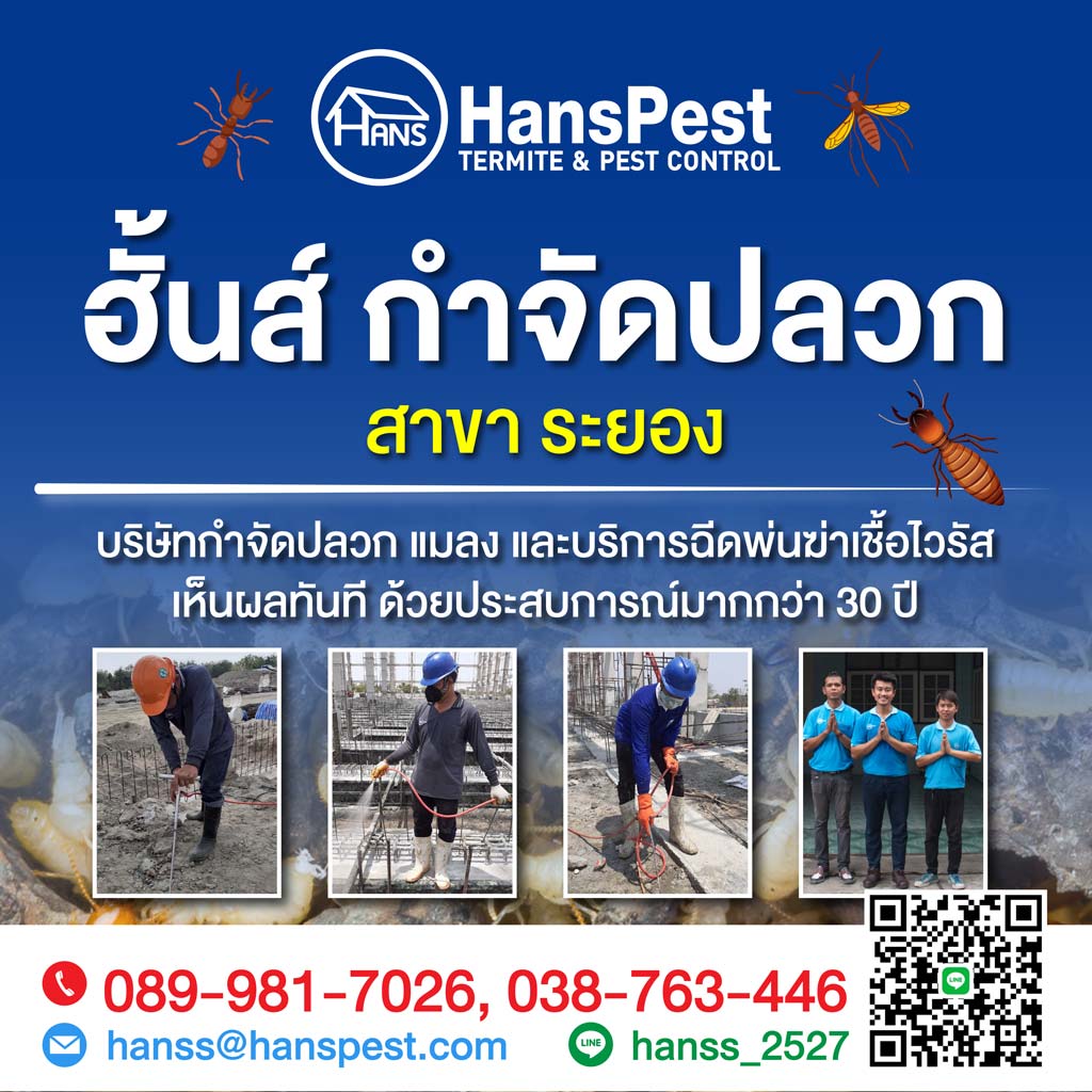 ฮั้นส์ กำจัดปลวก สาขาระยอง